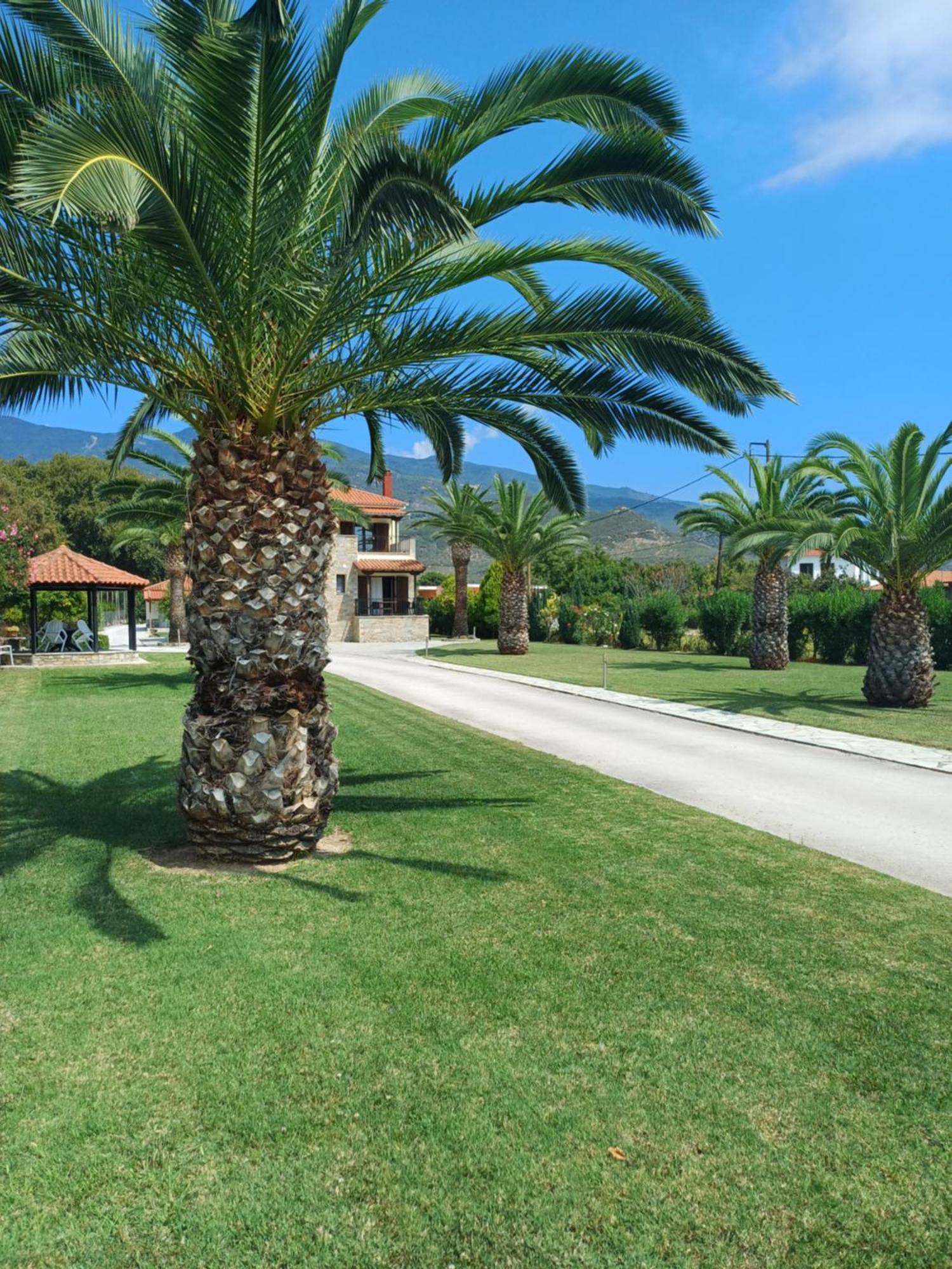 Villa Kallimanis Platanidia ภายนอก รูปภาพ